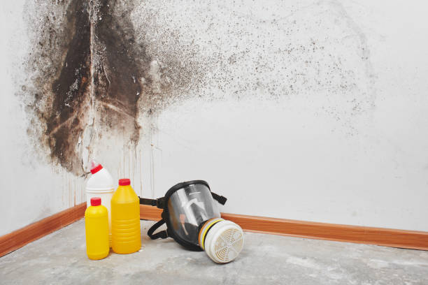 Best Industrial Mold Remediation in Bratenahl, OH