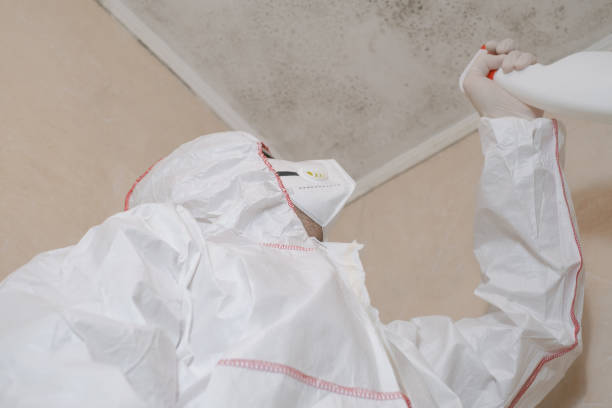 Best Emergency Mold Remediation in Bratenahl, OH
